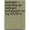 Pepingen – Steenweg op Bellingen, Buffergracht en TvG (23.021V) door T. Beukelaar – van Gulik