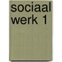 Sociaal werk 1