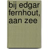 Bij Edgar Fernhout, aan zee door Rudi Fuchs