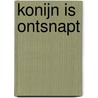 Konijn is ontsnapt door Tina Nolan
