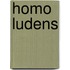 Homo ludens
