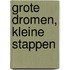 Grote dromen, kleine stappen