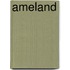 Ameland