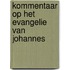 Kommentaar op het Evangelie van Johannes