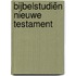 Bijbelstudiën Nieuwe Testament
