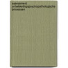 Assessment ontwikkelingspsychopathologische processen by Noëlle Pameijer