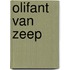 Olifant van zeep