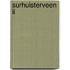 SURHUISTERVEEN II