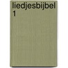 Liedjesbijbel 1 door Onbekend