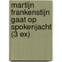 Martijn Frankenstijn gaat op spokenjacht (3 ex)