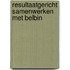 Resultaatgericht samenwerken met Belbin