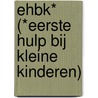 EHBK* (*Eerste Hulp Bij Kleine Kinderen) by Sofie Vanderoost