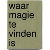Waar magie te vinden is door Nikki Van De Car