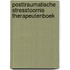 Posttraumatische stresstoornis Therapeutenboek