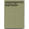 Opgavegericht teamleren by Manon Ruijters