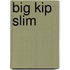 Big Kip Slim
