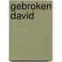 Gebroken David