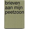 Brieven aan mijn peetzoon by Stanley Hauerwas