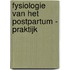 Fysiologie van het postpartum - praktijk
