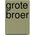Grote broer