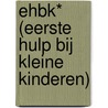 EHBK* (Eerste Hulp Bij Kleine Kinderen) by Sofie Vanderoost