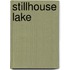 Stillhouse Lake