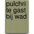 Pulchri te gast bij WAD