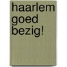 Haarlem goed bezig! by Frans van Deijl