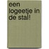 Een logeetje in de stal!