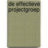 De effectieve projectgroep door Klaas Schermer