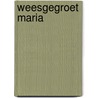 Weesgegroet Maria door Paus Franciscus