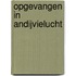 Opgevangen in andijvielucht