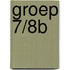 groep 7/8B