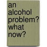 An Alcohol Problem? What now? by Erwin De Bisscop