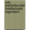 Sdu Wettenbundel Intellectuele Eigendom by T. Cohen Jehoram