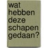 Wat hebben deze schapen gedaan?