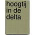 Hoogtij in de Delta
