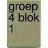 Groep 4 Blok 1