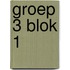 Groep 3 Blok 1