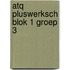 ATQ Pluswerksch blok 1 groep 3