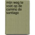Mijn weg te voet op de Camino de Santiago