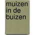 Muizen in de buizen