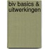 BIV Basics & Uitwerkingen
