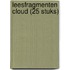 Leesfragmenten Cloud (25 stuks)