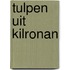 Tulpen uit Kilronan