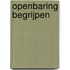 Openbaring begrijpen