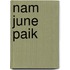 Nam June Paik