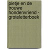 Pietje en de trouwe hondenvriend - Groteletterboek door S. Boto