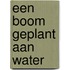 Een boom geplant aan water