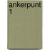 Ankerpunt 1